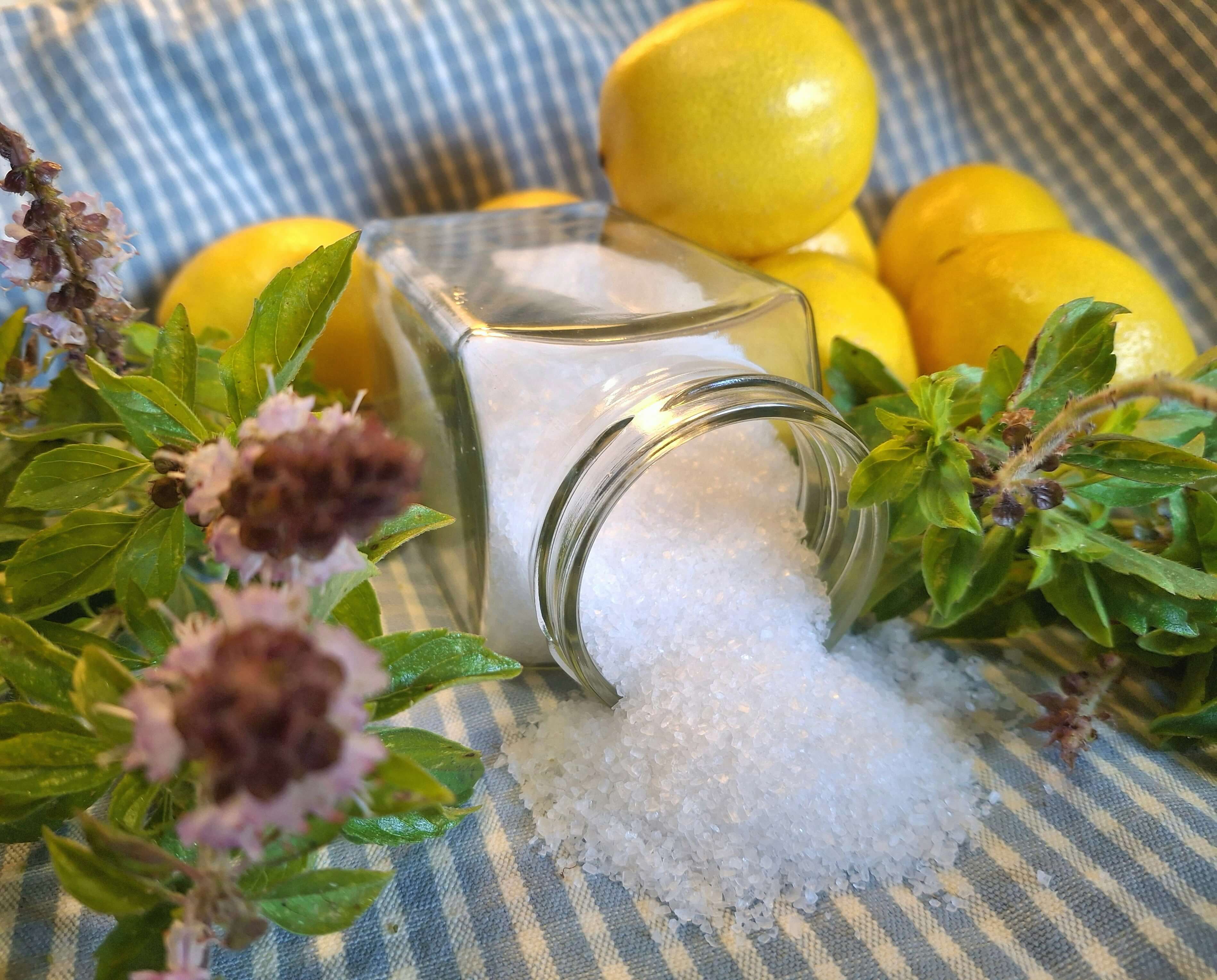 Zitronens&auml;ure Eigenschaften Pferde